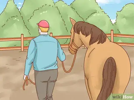 Image titled Teach a Horse to Bow Step 6
