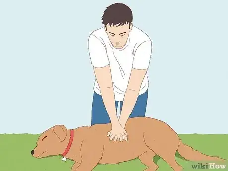 Image titled Perform CPR on a Dog Step 6