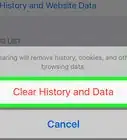 Delete Browsing History