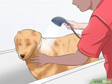 Image titled Get Dog Smell Out of Your Car Step 13