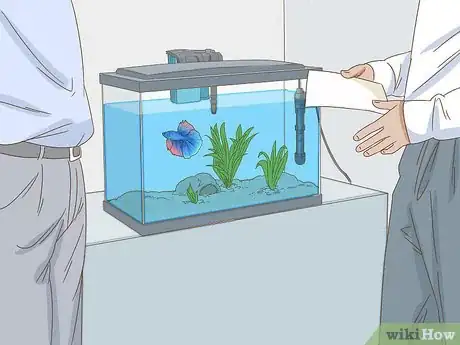 Image titled Grow a Bond With Your Betta Fish Step 6