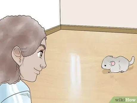 Image titled Let a Chinchilla out of its Cage Step 9