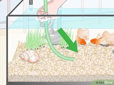 Image titled Clean Fish Tank Rocks Step 8