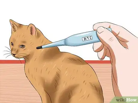 Image titled Prevent Feline Panleukopenia (Distemper) Step 6