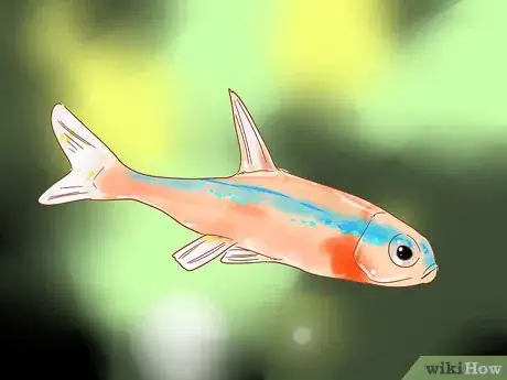 Image titled Care for Neon Tetra Step 14