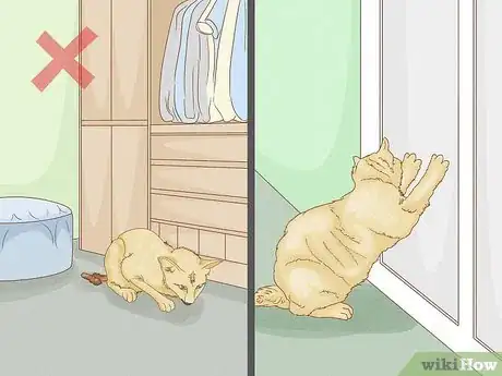 Image titled Stop a Cat from Pooping on the Floor Step 15