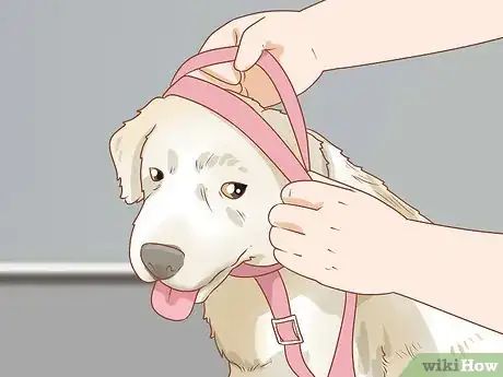 Image titled Put on a Dog Harness Step 9