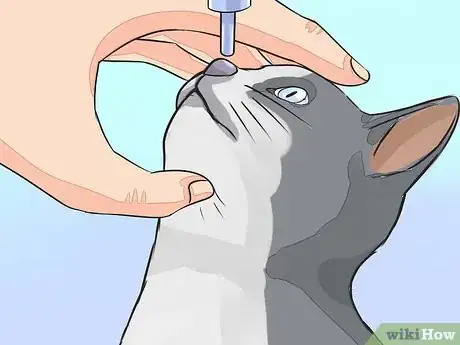 Image titled Give Your Cat Nose Drops Step 4