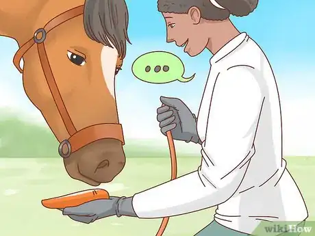 Image titled Teach a Horse to Bow Step 9