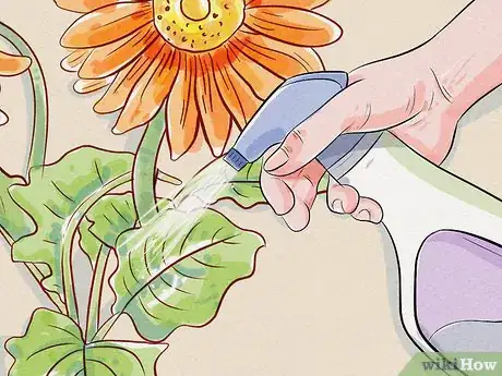 Image titled Care for a Gerbera Daisy Step 8