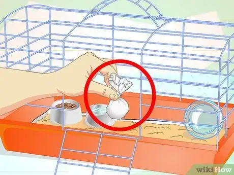 Image titled Clean a Guinea Pig Cage Step 17