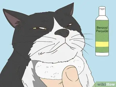 Image titled Treat Feline Acne Step 3