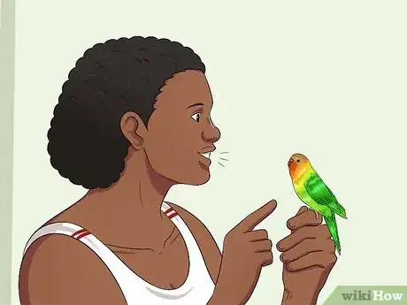 Image titled Teach Your Budgie to Talk Step 4