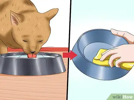 Image titled Prevent Feline Panleukopenia (Distemper) Step 4