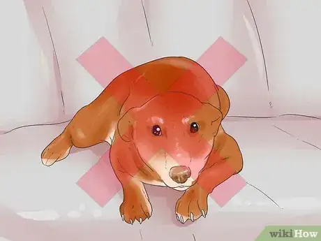 Image titled Deal With Your Dog's Fear of Vehicles Step 12