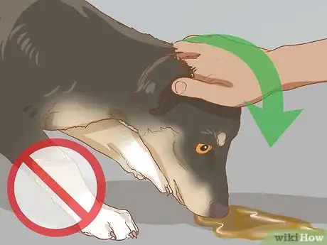 Image titled Stop a Dog from Urinating Inside After Going Outside Step 7