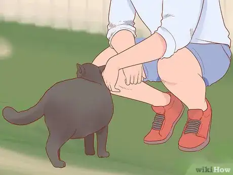 Image titled Greet a Cat Step 3