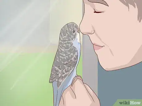 Image titled Tell the Sex of Parrots Step 10