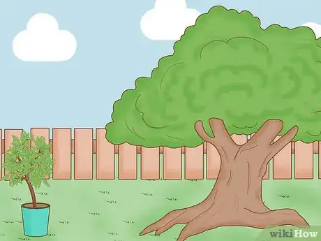 Image titled Grow a Mango Tree Step 2