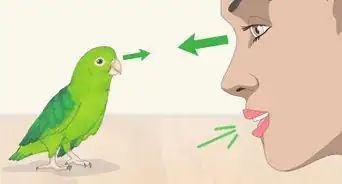 Interact with Your Parrotlet