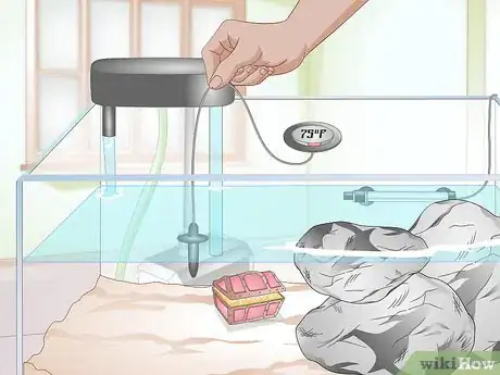 Image titled Clean a Turtle Tank Step 13