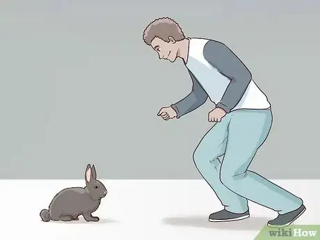 Image titled Carry a Rabbit Step 2