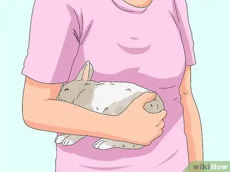 Image titled Pick up a Rabbit Step 10