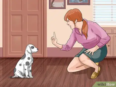 Image titled Care for a Dalmatian Step 14