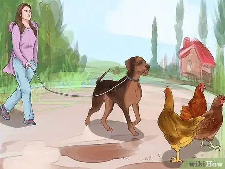 Image titled Train a Dog to Protect Chickens Step 13