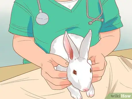 Image titled Stop a Rabbit from Smelling Step 7