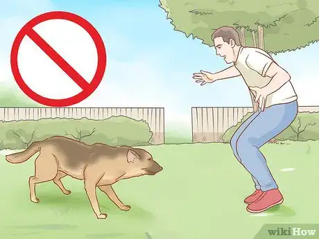 Image titled Stop a Dog from Urinating Inside After Going Outside Step 3