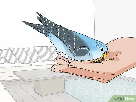 Image titled Stop a Parakeet from Biting Step 2