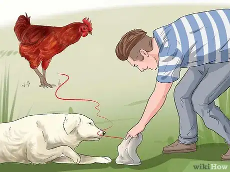 Image titled Train a Dog to Protect Chickens Step 14