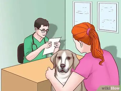 Image titled Register Your Dog As a Service Dog Step 10