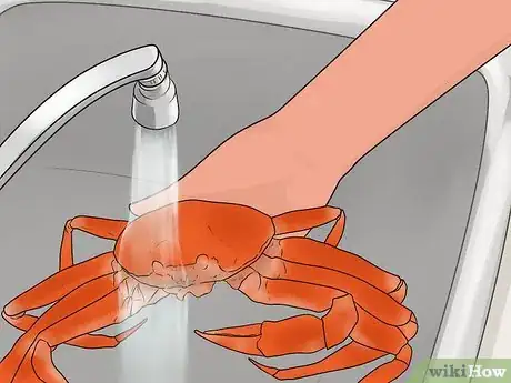 Image titled Cook Snow Crab Step 5