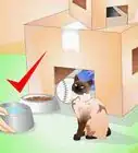 Build a Cat House