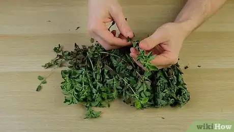 Image titled Dry Oregano Step 1