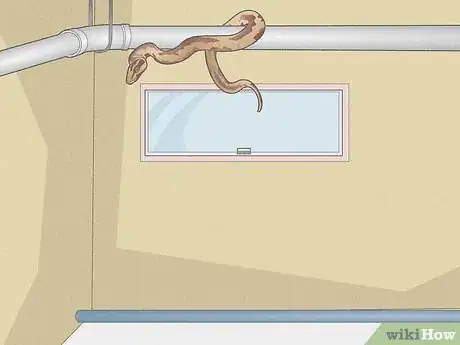 Image titled Deal With a Snake in the House Step 7