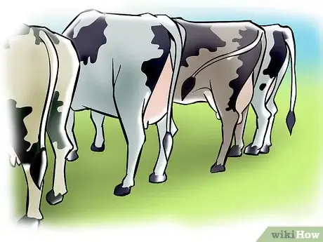 Image titled Artificially Inseminate Cows and Heifers Step 30