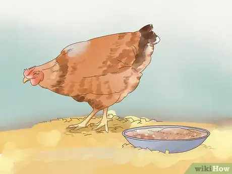 Image titled Tell if a Chicken is Sick Step 2