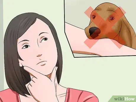 Image titled Make a Dog Stop Biting Step 11
