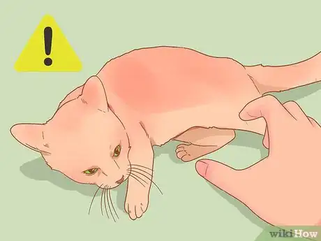 Image titled Stop Your Cat from Attacking Your Dog Step 20