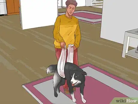 Image titled Help a Female Dog Who Is Injured Urinate Step 3