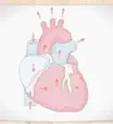 Draw a Human Heart