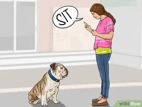 Image titled Clean a Bulldog's Face Folds Step 5