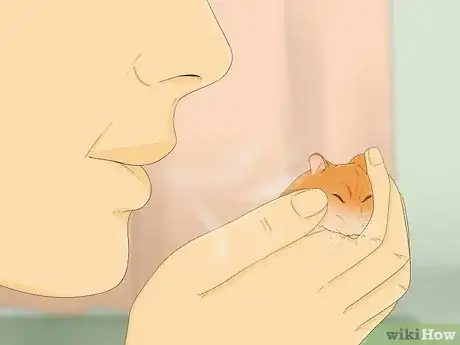 Image titled Train Your Hamster Step 15