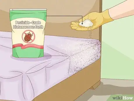 Image titled Get Rid of Bed Bugs Step 15