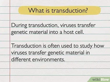 Image titled Transfection vs Transduction Step 4