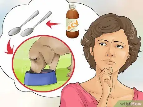 Image titled Use Apple Cider Vinegar for Dogs Step 5