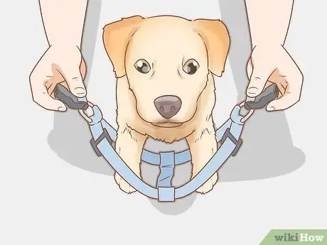 Image titled Put on a Dog Harness Step 4